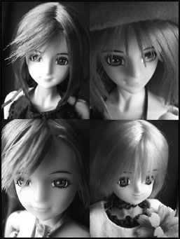 �m�A�h�f�B�[���J�b�g