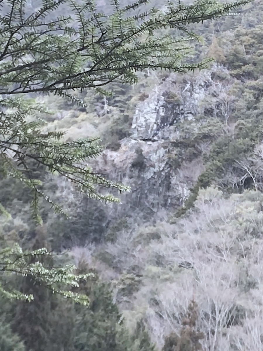 20180124-3