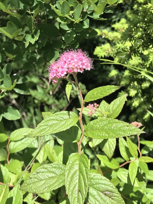 20180613