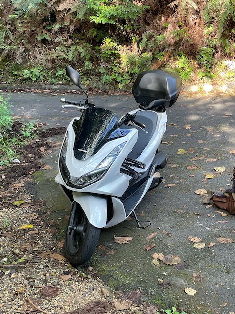 2021 pcx160