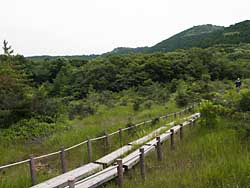 20090704