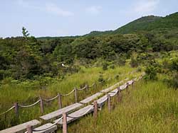 20090906