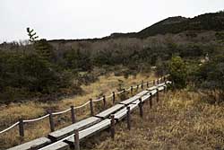 20110403