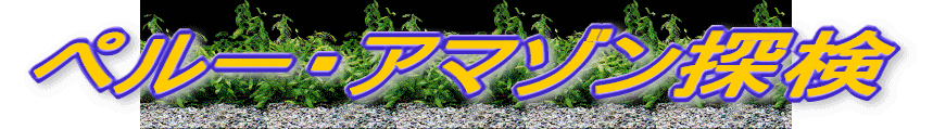 �y���[�E�A�}�]���T��