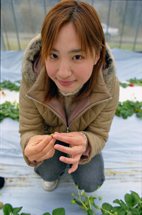 kimiyo 273-30