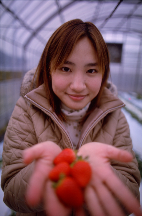 kimiyo 276-11