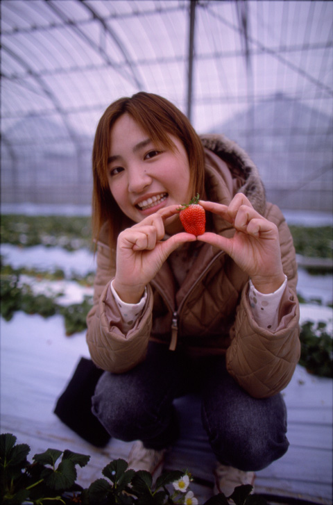 kimiyo 276-16