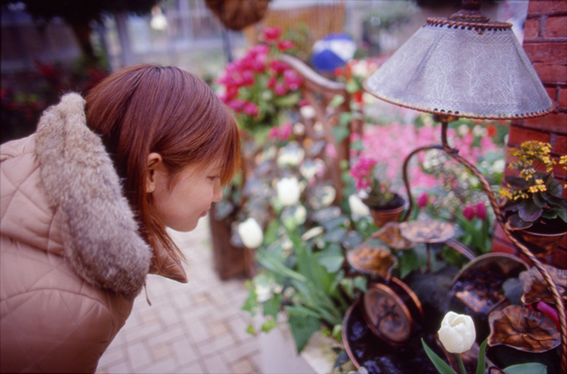 kimiyo 277-31