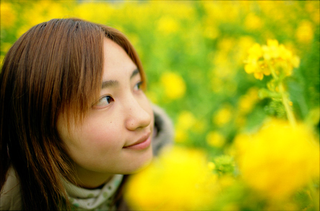 kimiyo 286-19