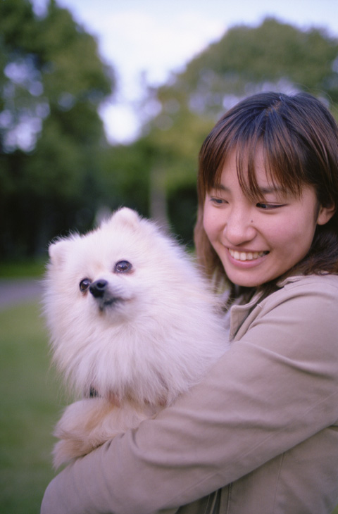 kimiyo