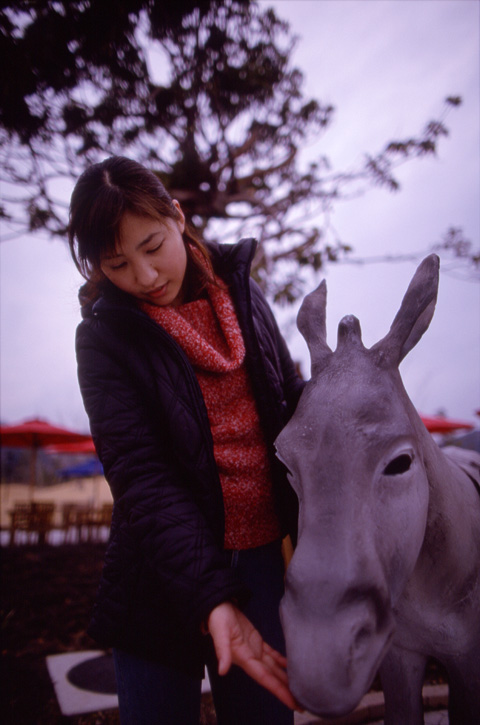 kimiyo 250-29