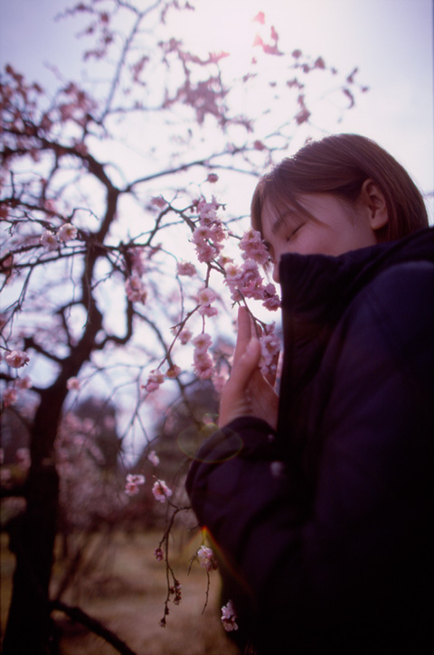 kimiyo 307-21