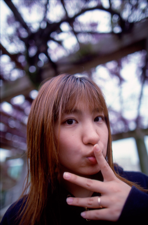 kimiyo 344-12