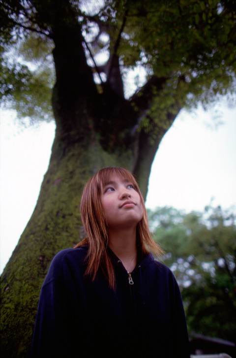 kimiyo 344-5