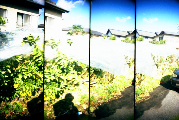 lomo