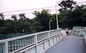 摜FuU1E̋|Iv̐g󂯓nwn