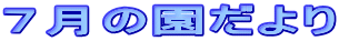 �V���̉������ 