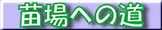 cւ̓