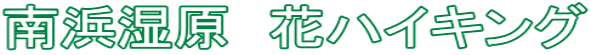 南浜湿原 花ハイキング