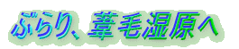 ぶらり、葦毛湿原へ