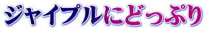 ジャイプルにどっぷり