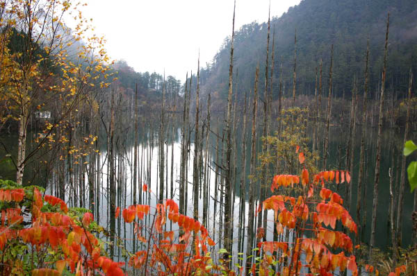 image0001