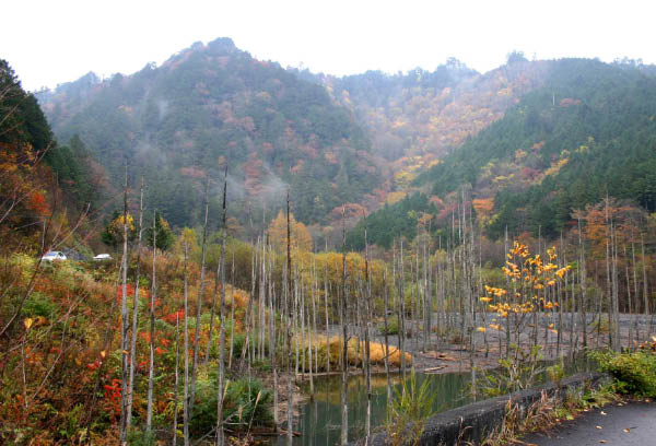 image0002