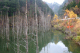 image0003
