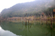image0004