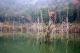image0005
