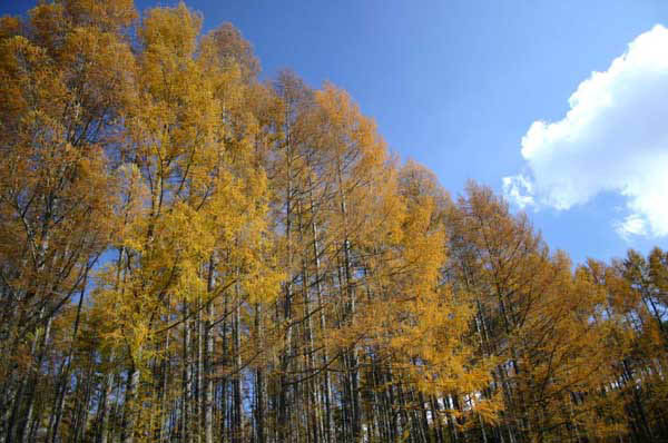 image0000