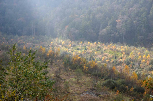 image0002