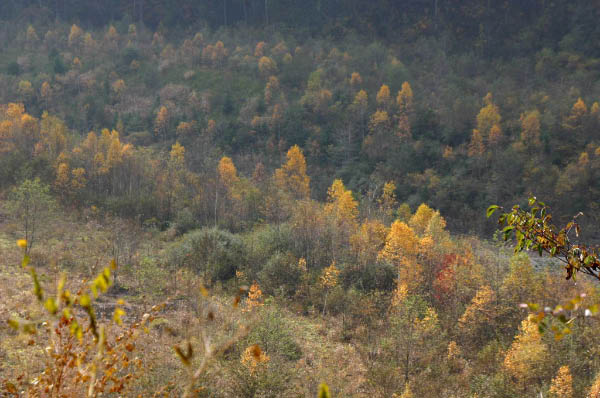 image0003