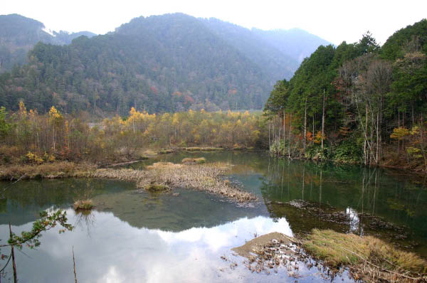 image0004