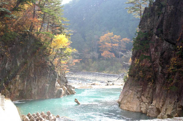 image0007