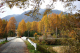image0000