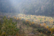 image0002