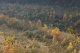 image0003