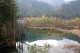 image0005