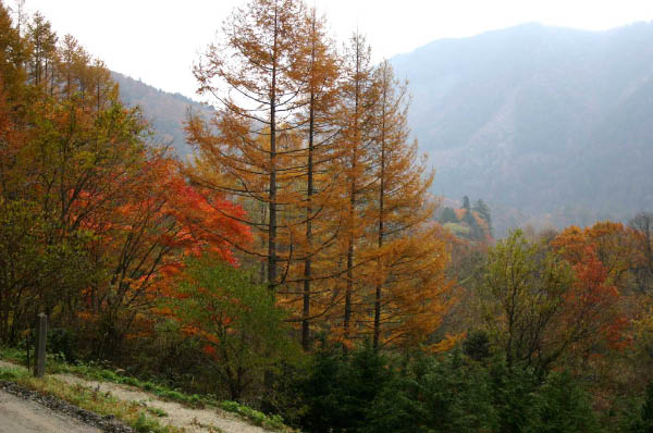image0004