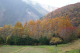 image0003