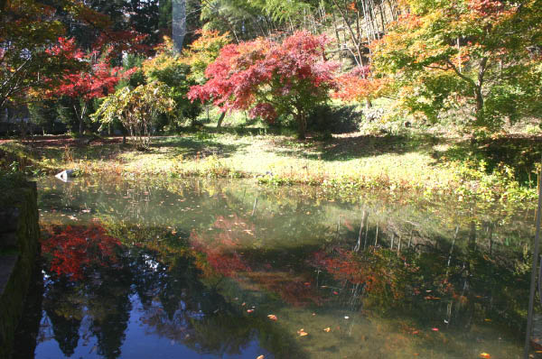 image0008