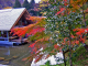 image0000