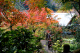 image0001