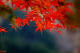 image0003