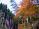 image0004
