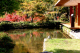 image0006