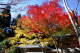 image0009