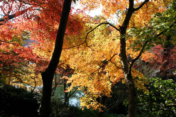 image0000