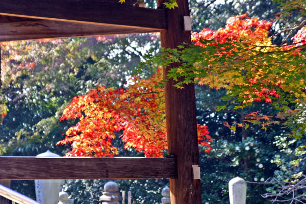 image0004